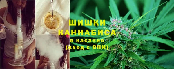 соль ск Заполярный